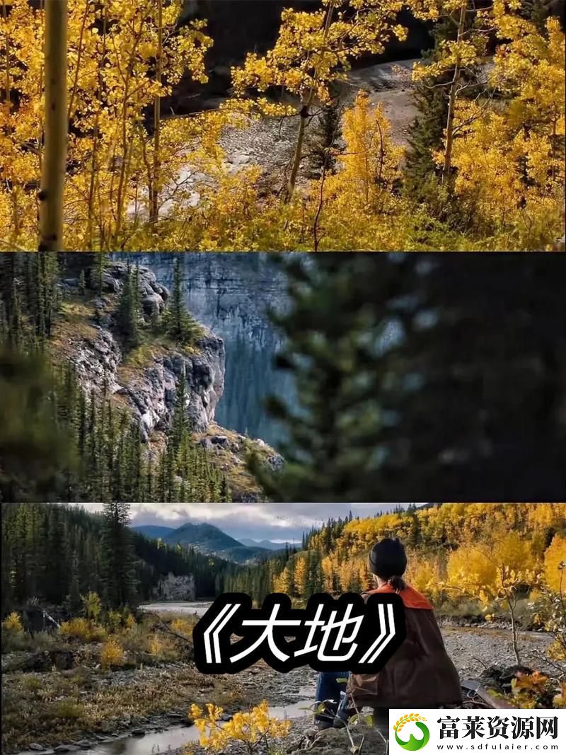 大地資源二高清在線觀看播放：探索地球的未知奧秘
