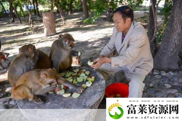 打牌生猴子的視頻大全軟件
