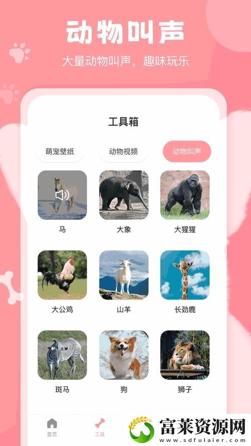 大象W灬源碼1688：數(shù)字時代的創(chuàng)新工具軟件教程玩法