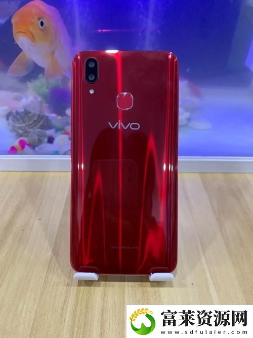 深入探索“歐美性VIVOX21歐美”背后的文化與科技