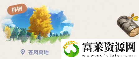 原神樺木在哪兒里
