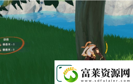 原神樺木在哪兒里