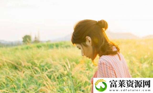 鑒黃師