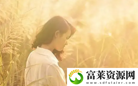 菠蘿蜜在線觀看免費(fèi)觀看電視