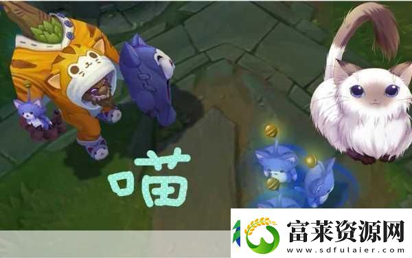 喵星人密室大冒險