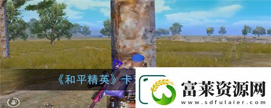 和平精英雙彈夾bug怎么卡-卡雙彈夾bug方法攻略