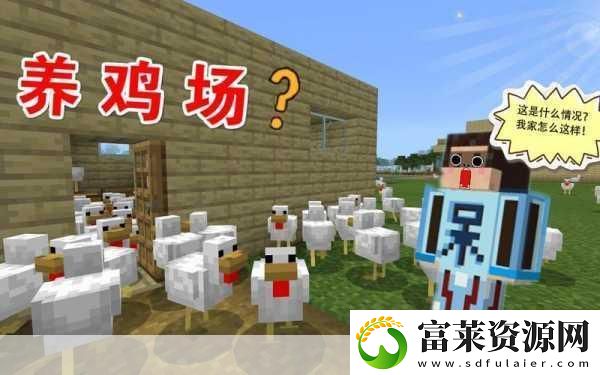 我的世界養(yǎng)雞秘籍