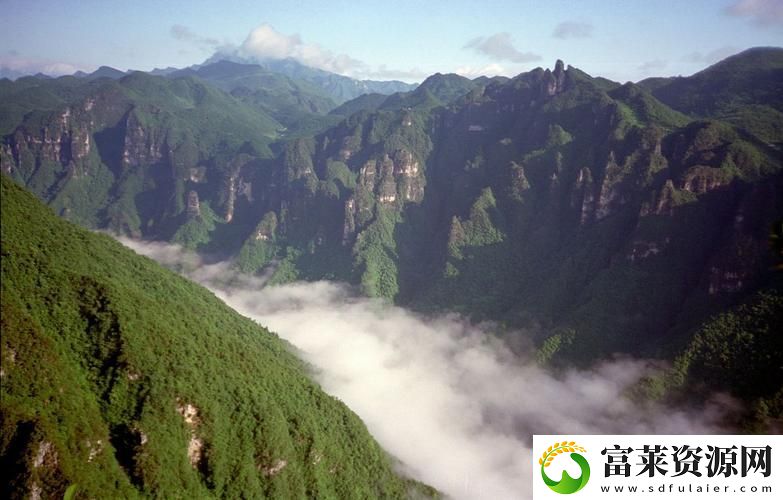 一個(gè)添B一個(gè)添3個(gè)人添：生活中的小確幸