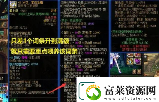 dnf裝備怎么喂養(yǎng)