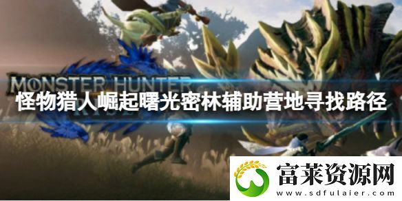 怪物獵人崛起曙光密林輔助營地怎么去-曙光密林輔助營地尋找路徑軟件教程玩法