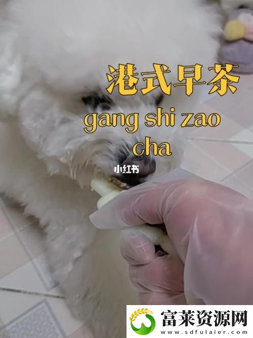 深入探討“美國(guó)人與動(dòng)物膠配方有幾種”的不同類型與應(yīng)用軟件教程玩法