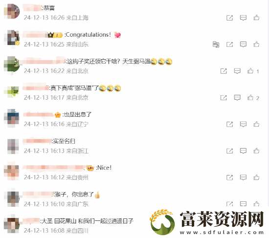 玩家安慰黑神話