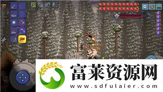 迷失島1紅色箱子是一周目嗎-深入分析迷失島系列的箱子機制和玩法