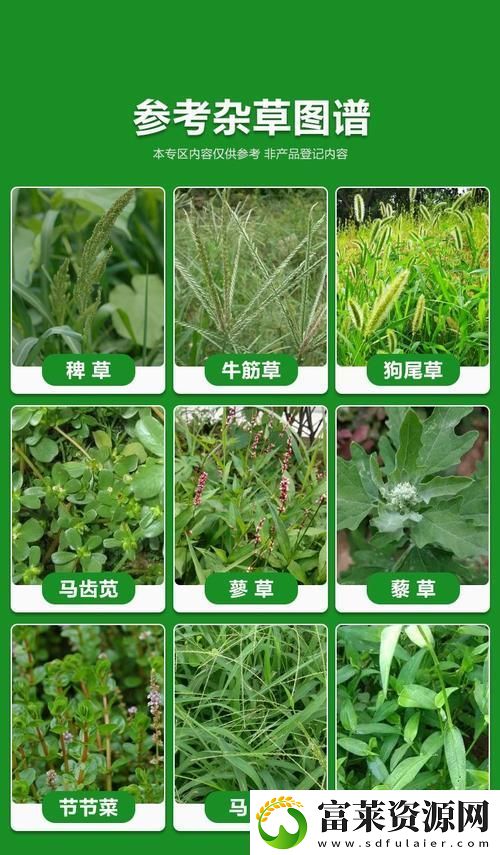探索嫩草精產(chǎn)一二三產(chǎn)區(qū)的獨(dú)特魅力與發(fā)展?jié)摿? />
                            </a>
                        </div>
                        <div   id=