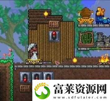 泰拉瑞亞