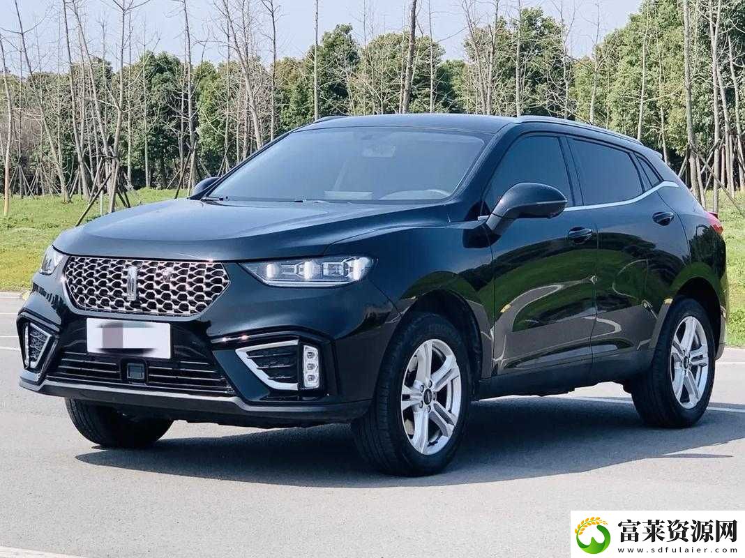 Wey-VV5-國產(chǎn)-SUV：時尚與實力的完美結(jié)合軟件教程玩法