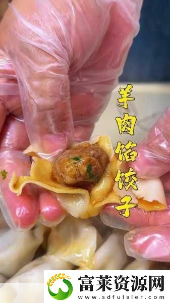 授課方式肉餡小水餃-手把手教你制作美味肉餡小水餃軟件教程玩法