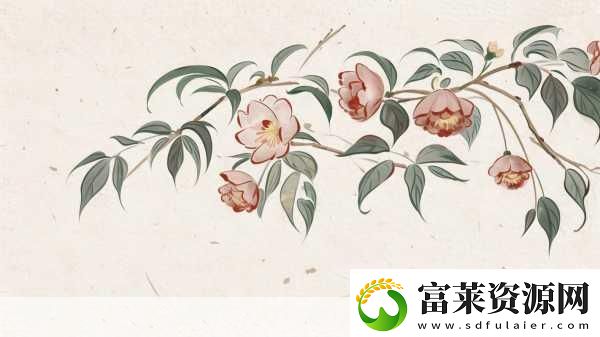 精品卡1卡二卡三國色天香
