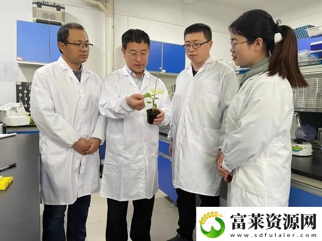 奇聞！人畜共舞CROPROATIO