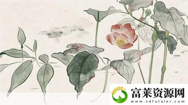 精品卡1卡二卡三國色天香