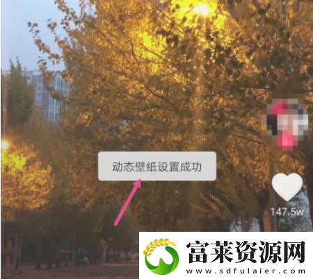 抖音動態(tài)壁紙怎么取消