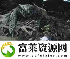 怪物獵人荒野鎖刃龍?zhí)度绾未蚍?></p><p>團(tuán)隊(duì)成員間需保持良好溝通，制定協(xié)同作戰(zhàn)策略，例如明確分工，提高狩獵效率。</p><p style=