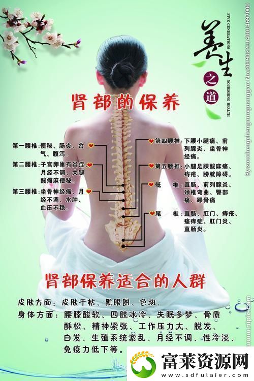 “腎機保養(yǎng)成新時尚笑談科技潮流的詭異走向”軟件教程玩法