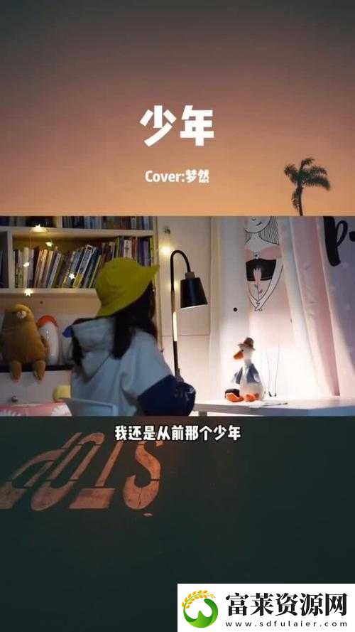少年啊-bgm-房東太太是誰唱的：房東太太唱出少年的心聲軟件教程玩法