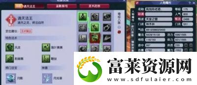 109龍宮法傷標(biāo)準(zhǔn)是多少軟件教程玩法
