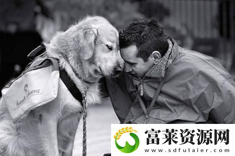 人物動(dòng)物交互狗劇情：溫暖的陪伴