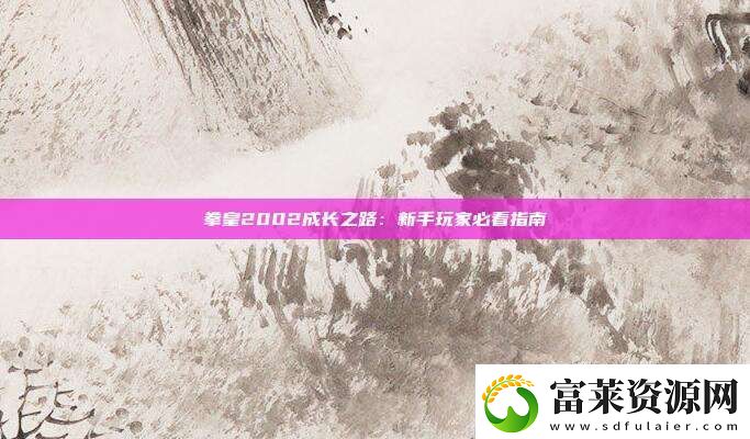 拳皇2002成長(zhǎng)之路：新手玩家必看指南軟件教程玩法